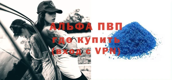 мдпв Бородино
