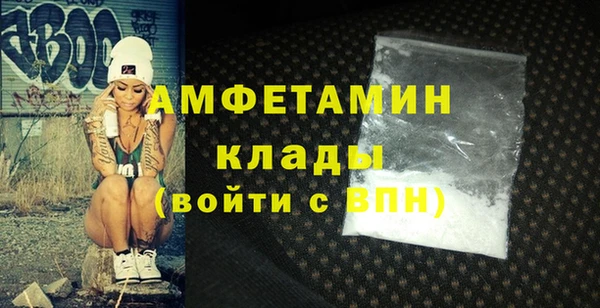 мдпв Бородино