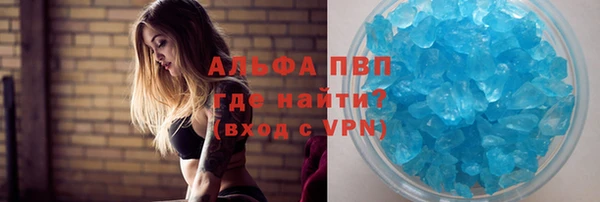мдпв Бородино