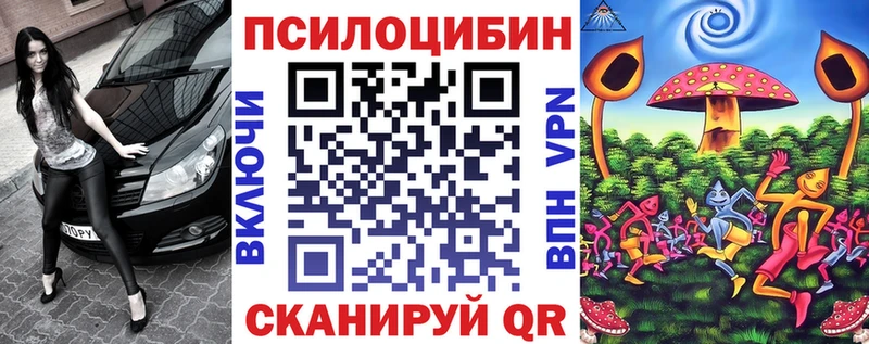 Псилоцибиновые грибы GOLDEN TEACHER  цена   Ершов 